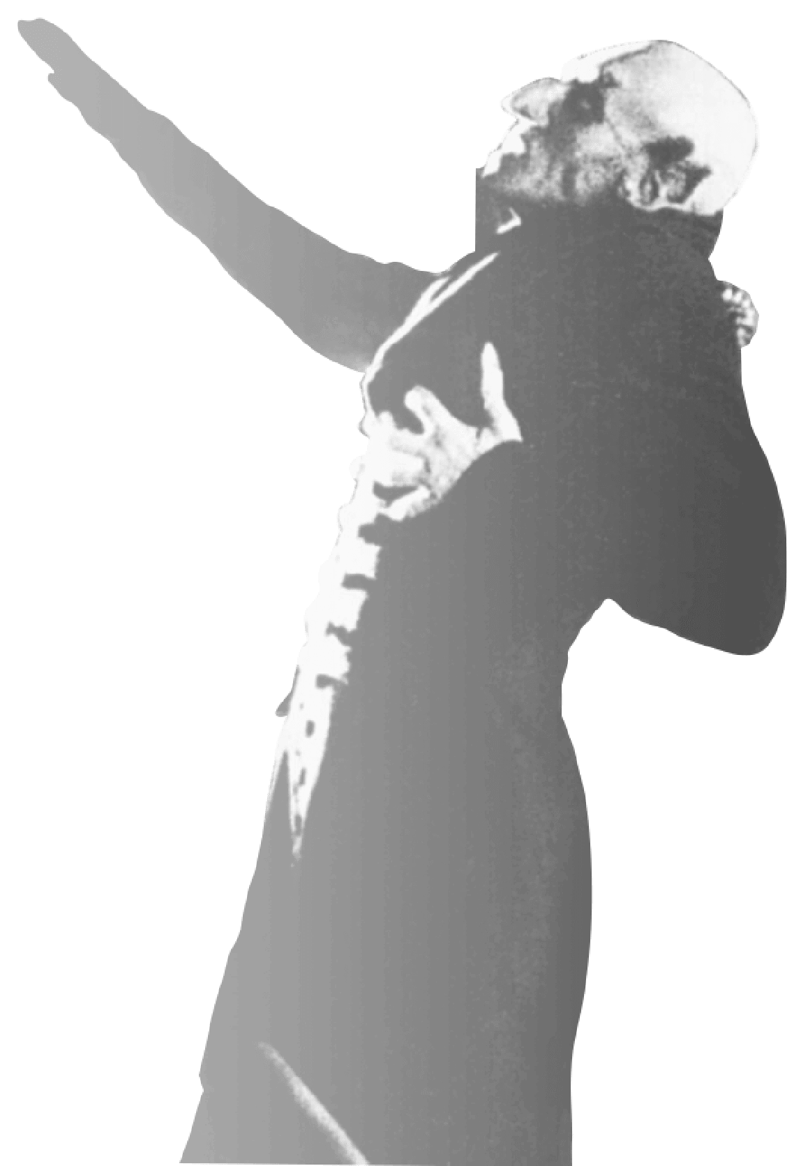 Nosferatu - 100 años de vampiros en el cine