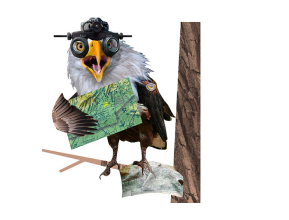 Imagen de collage de un pájaro con utensilios diferentes.