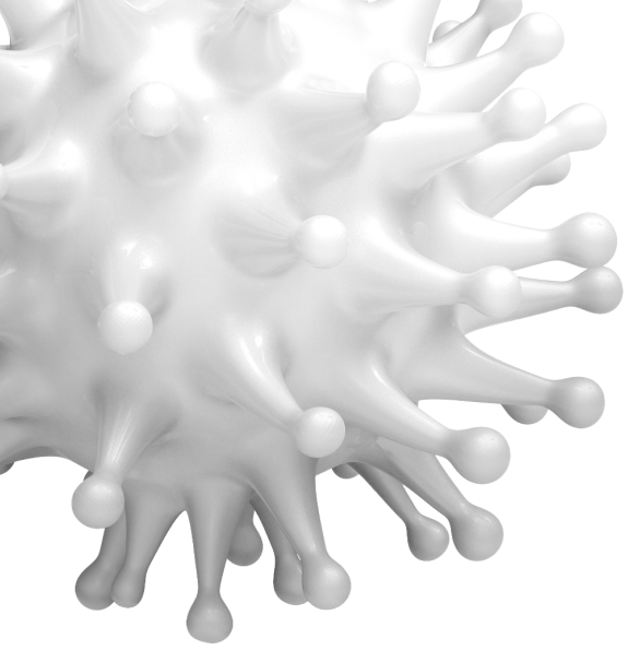 Imagen de un virus